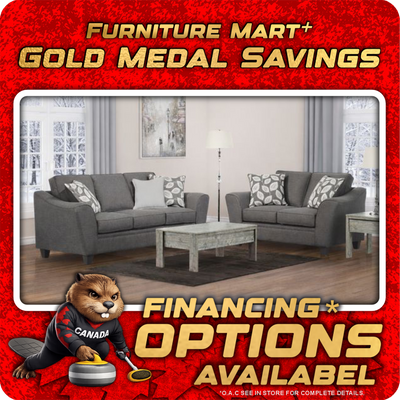 1010 - Paradigm Smoke Sofa