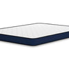 Harold Firm Queen Mattress