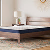 Harold Firm Queen Mattress
