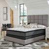 Pocketed Hybrid Queen Mattress