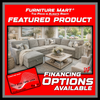 Dorothy Sectional Sofa Bed with Storage Chaise